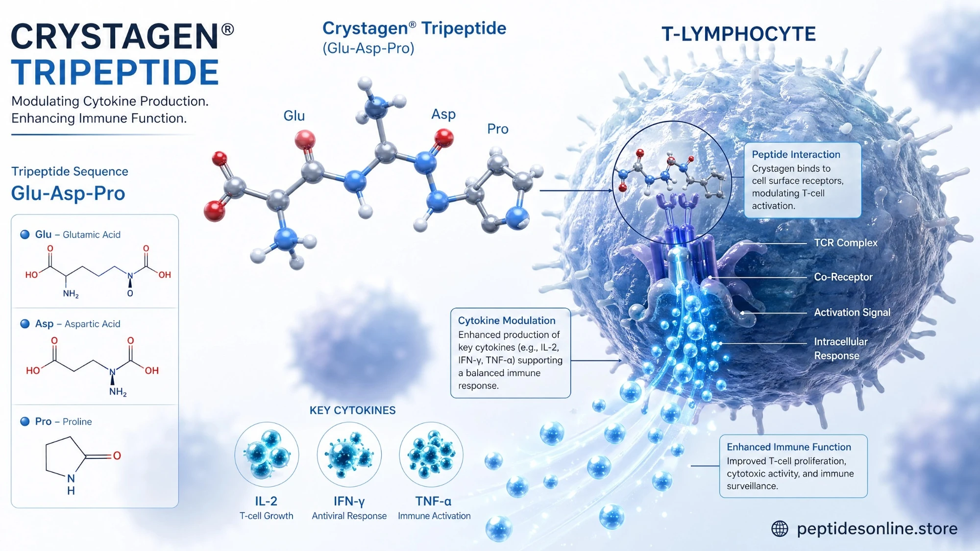 crystagen_mechanism_infographic