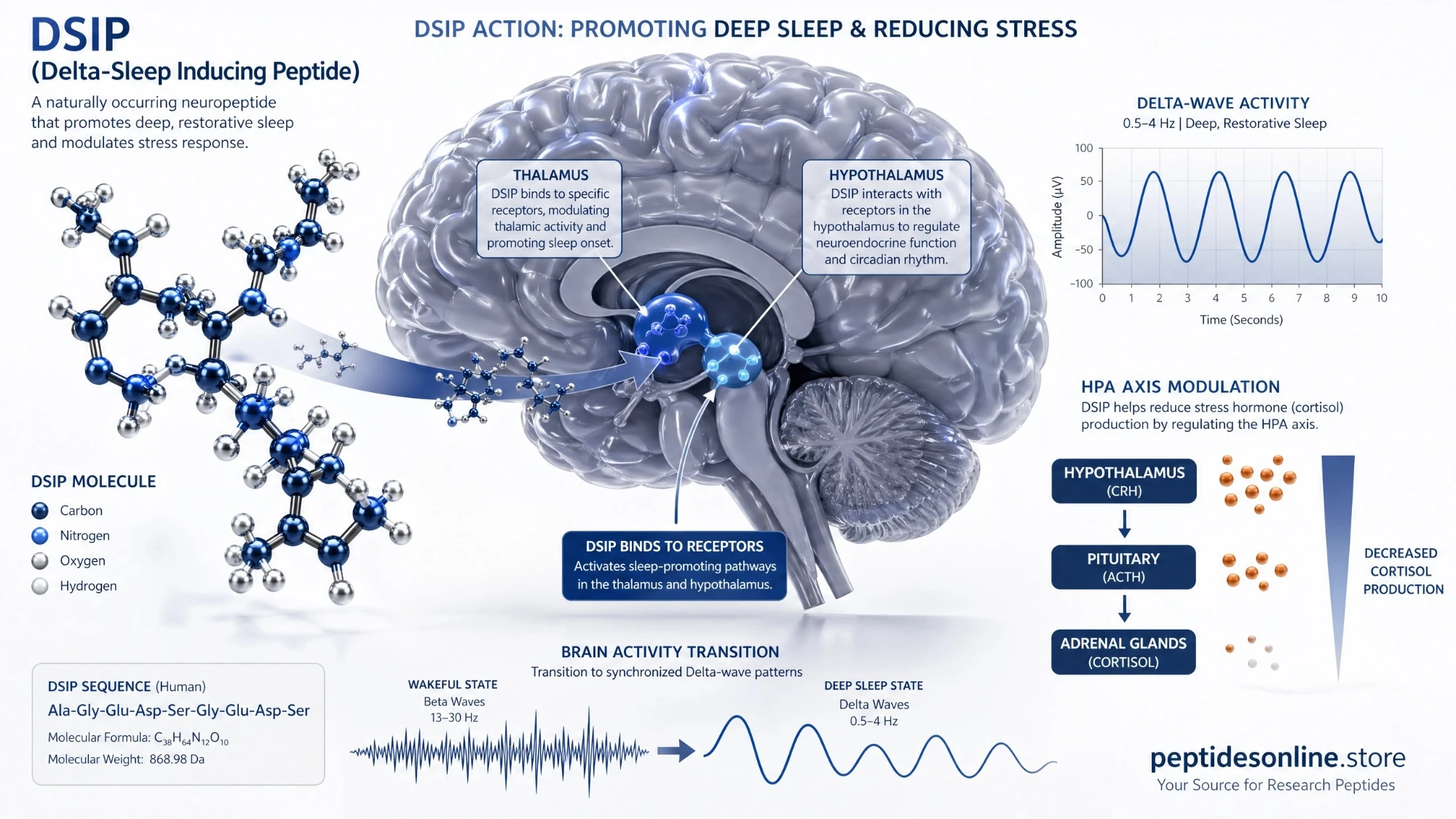 dsip （Delta-Sleep Inducing Peptide mechanism infographic