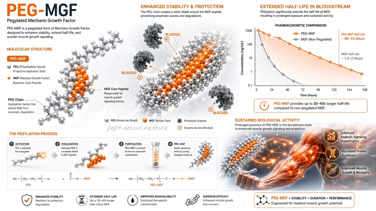 peg_mgf_mechanism_infographic