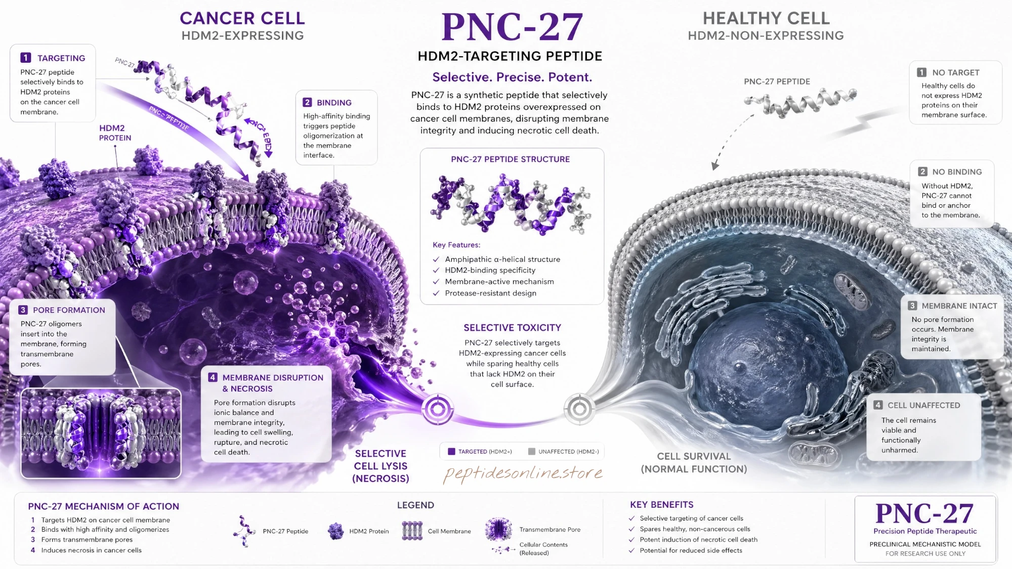 pnc27_mechanism_infographic