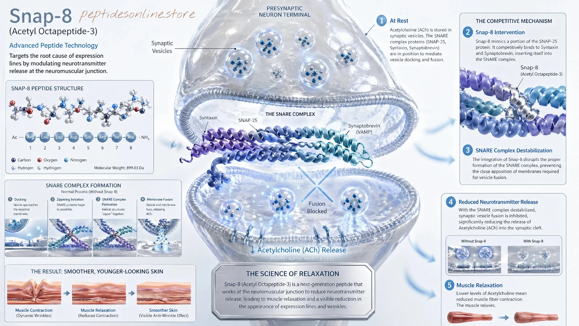 snap8_mechanism_infographic