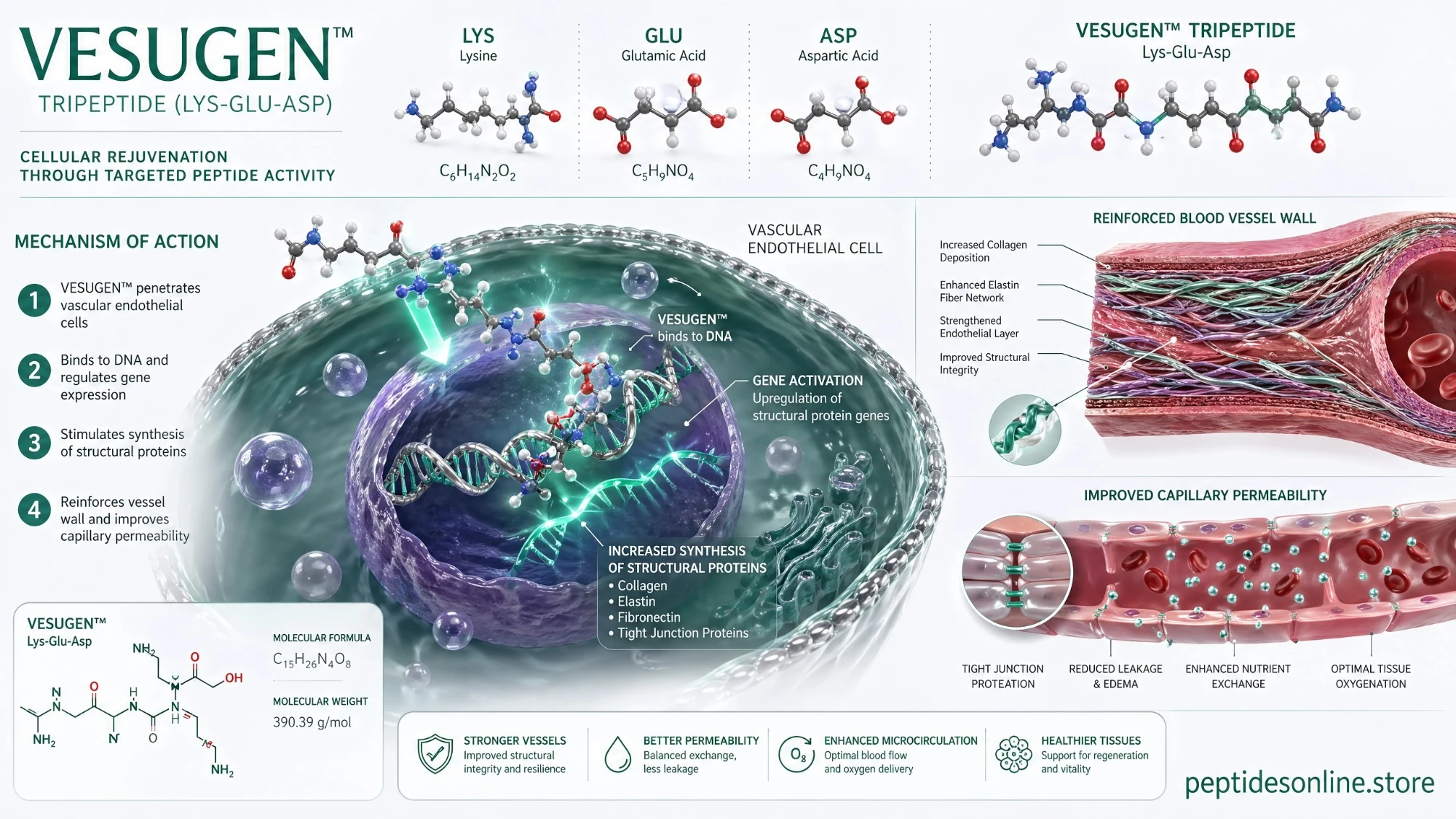 vesugen_mechanism_infographic